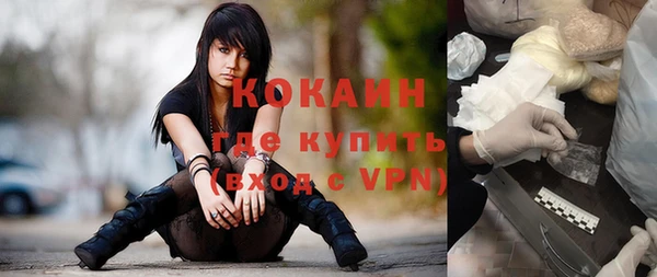 сатива Абаза