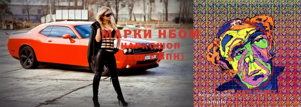 сатива Абаза