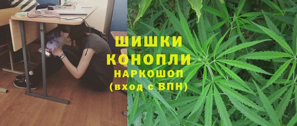 сатива Абаза