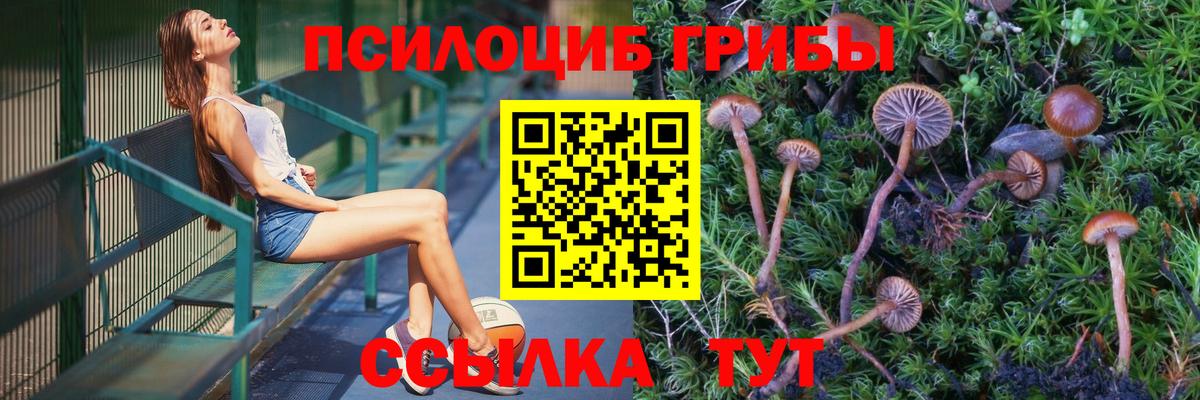 Псилоцибиновые грибы ЛСД Димитровград